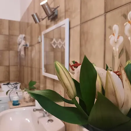 Passa Parola Konukevi Olbia