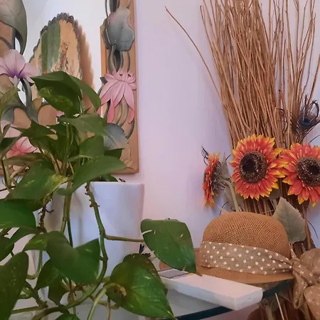 招待所 Passa Parola 4*