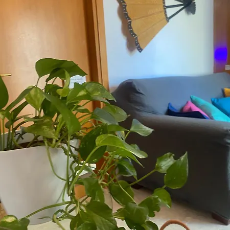 Passa Parola Gæstehus Olbia